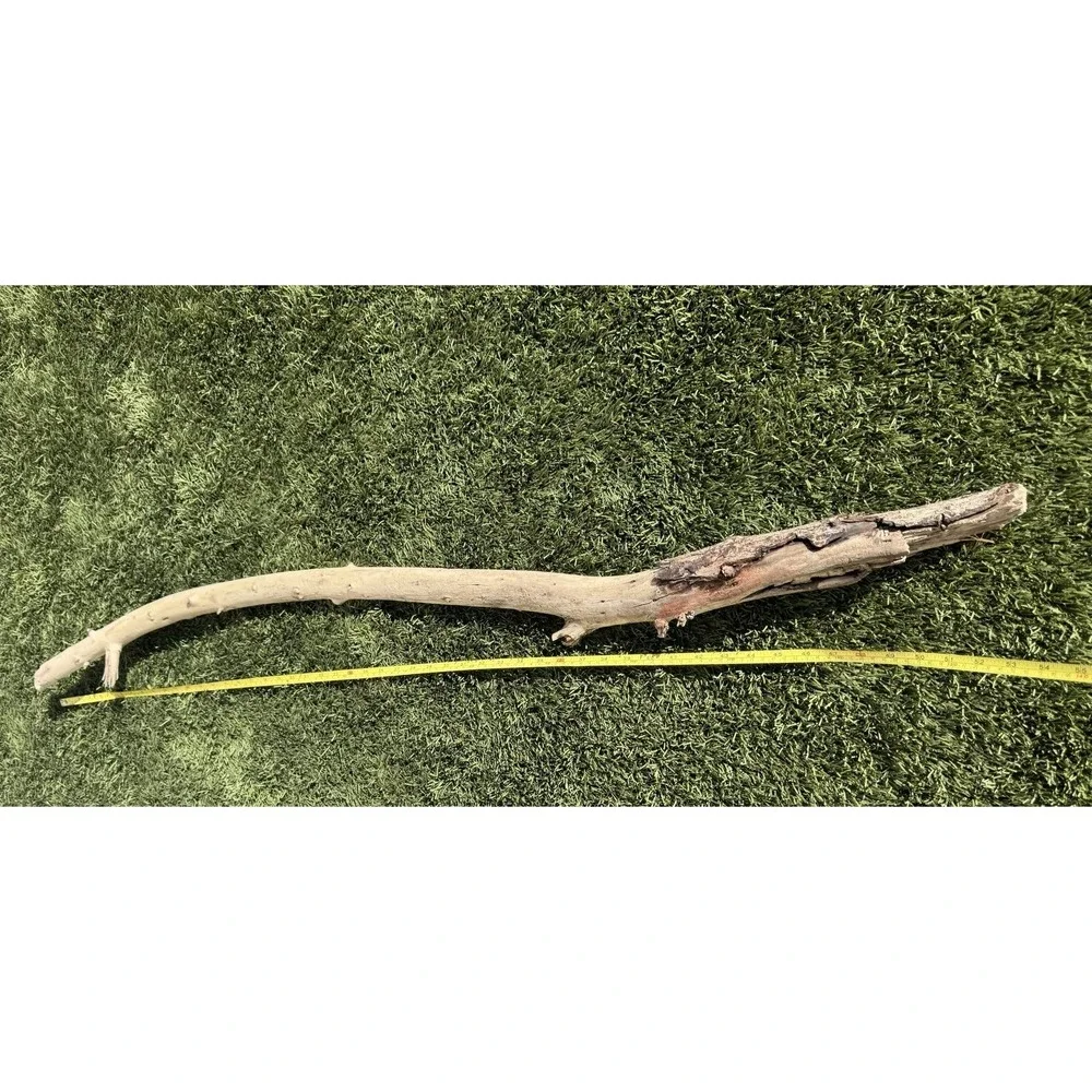 DRIFTWOOD Pacific Ocean California Natural Aquarium Terrarium Use (X-Large) 54